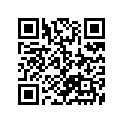 09160-16005 ワツシヤ(16X22X1)
