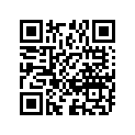 09160-16031 WASHER