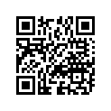 09160-17013 WASHER