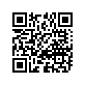 09160-17027 WASHER