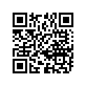 09160-17047 ワツシヤ(17X30X3)