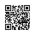09160-21007 Washer