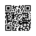 09160-21009 WASHER