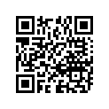 09160-22036 ワツシヤ(22X48X2.5)