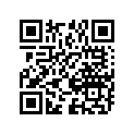 09160-30031 THRUSTWASHERS