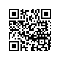 09166-25006 WASHER