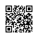09166-30006 WASHER