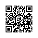 09181-22134 SHIM(0.8)