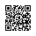 09181-25111 SHIM,25X30X1