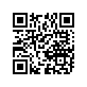 09181-25143 SHIM,25X32X1.09