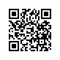 09181-25181 WASHER