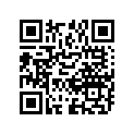 09246-06002 PLUG,1/4PT,H:7.