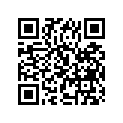 09262-22029 B122X56X16BRG