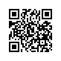 09263-10018-K00 Подшипник поршня