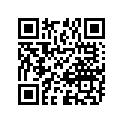 09263-21006 RC 21X32X2.8BRG