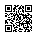 09263-22032 RN22X28X16BRG