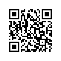 09263-22060 RN22X28X16BRN