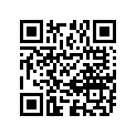 09263-22063 RN22X28X30BRG