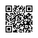 09263-30018 NDLBRG30X35X1