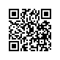 09265-30009 RT30X55X17BEA