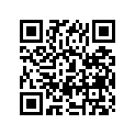 09300-25031 BUSH,25X28X10