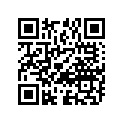 09306-17002 BUSH