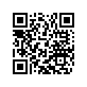 0934120103 Hexagon Nut Din0934-m12x1