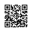 09494-00597-000 Жиклер игольчатый