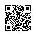 09494-00625-000 Жиклер игольчатый