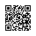09494-00640-000 Жиклер игольчатый