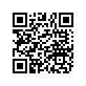 1017851-1696 BMPR ASM RR GS BLK W/ IND SKY B