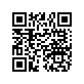 1025770 ASM-CONSOLE SUPPORT