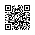10X-W2536-00-00 Колодки Тормозные (Комплект)