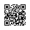 110041187 Gasket-head, Steel, T=0 (option)