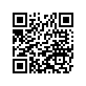110041209 Gasket-head, Steel, T=0