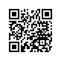 110041298 Gasket-head