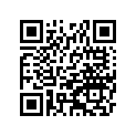 11009-2025 (I/X)ガスケツト