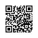 11040P N21306RING