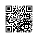 110441721 Bracket, Audio