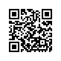 110530386 Bracket (option)