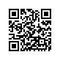 110563978 Bracket, Upp