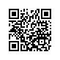 110564484 Bracket, Link