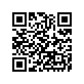 110610077 Gasket