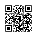 110610100 Gasket