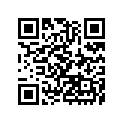 110610127 Gasket