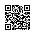 11065-1247 Cap