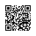 11065-Y007 CAP,KEY