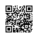11065033711G Cap, Fork, Gray
