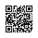 11100071 PAD,RUBBER