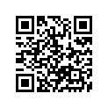 11115-17E70 Guide, Valve (os 0.3) (opt)